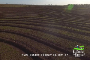 Fazenda com 1496 ha em Cachoeira do Sul localidade Irapu�.00_17_12_39.Quadro046_3751730ab154481decd43e186d60305a9a7a6379.jpg